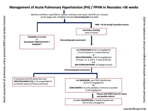 Management of acute pulmonary hypertension